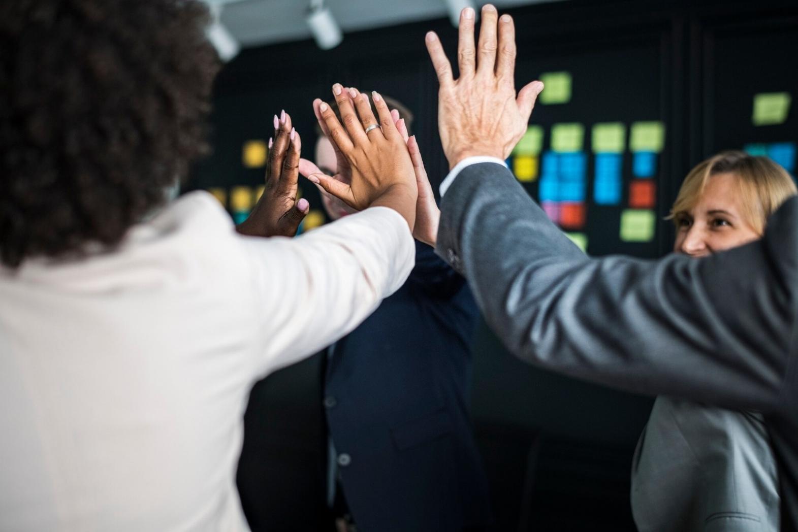 Team Plenvoniva al lavoro su strategie SEO